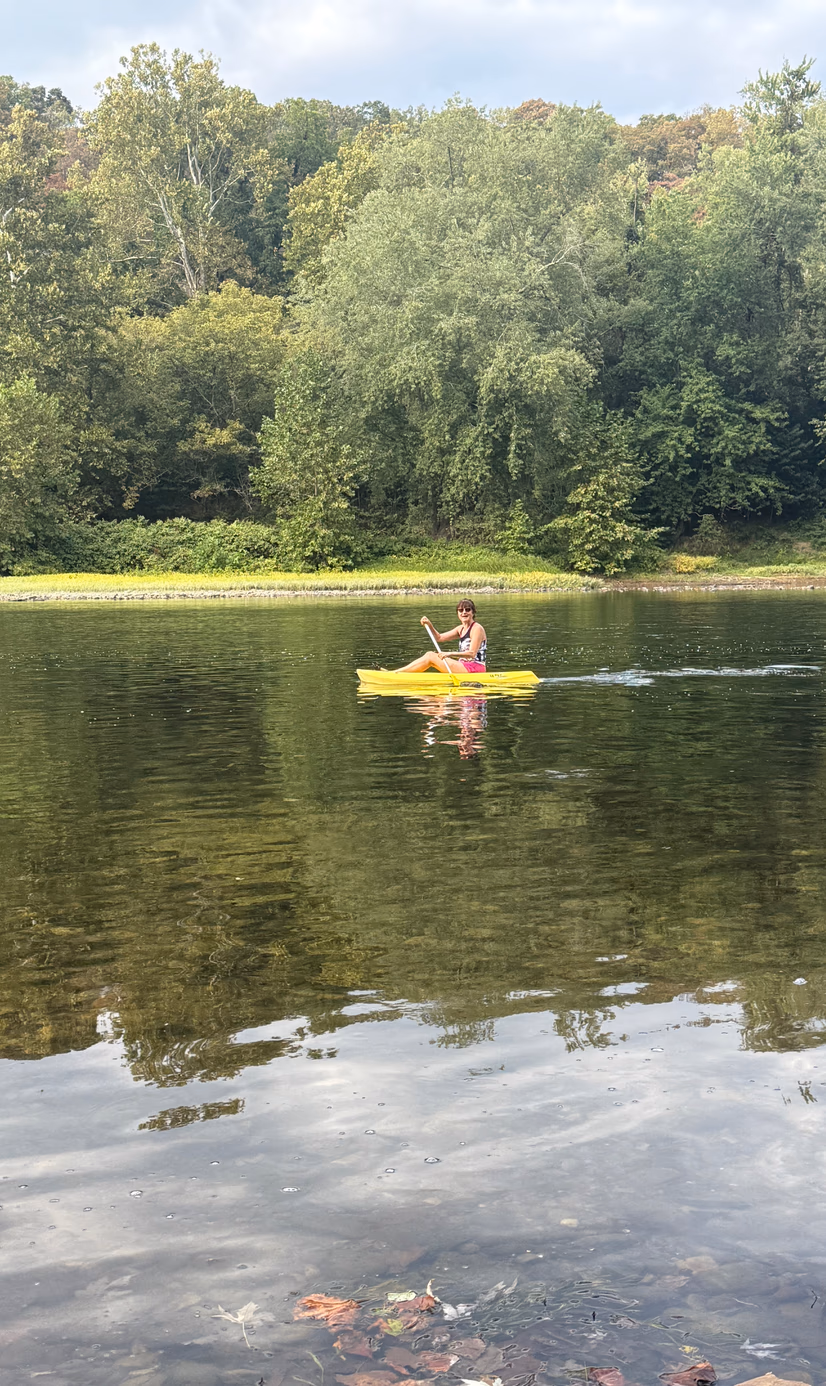 A yellow beak toucan under the rain in Costa Rica