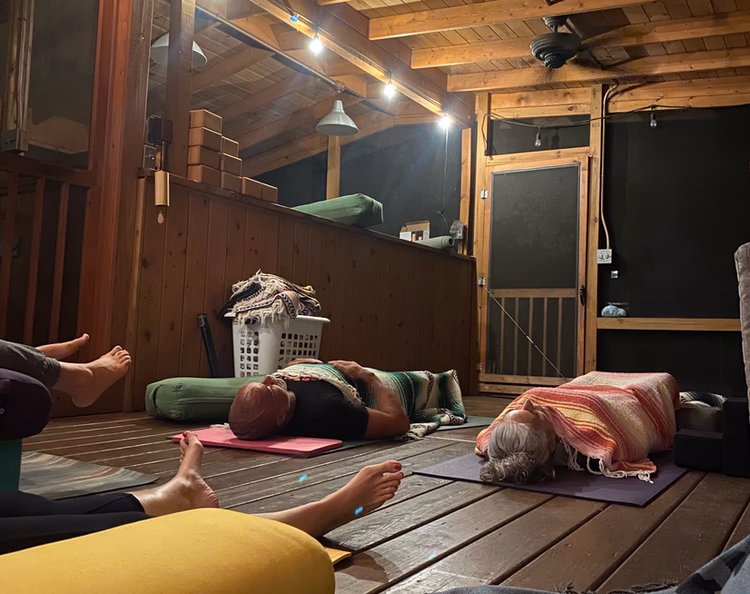 A close up shot of a monkey in a tree in Costa Rica